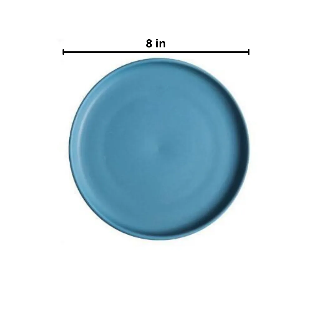 Modern Solid Flat Dinner Plate