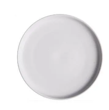 Modern Solid Flat Dinner Plate