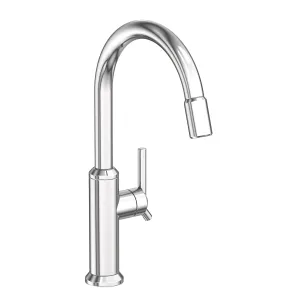 Newport Brass 3200-5113 Jeter Pull-down Kitchen Faucet