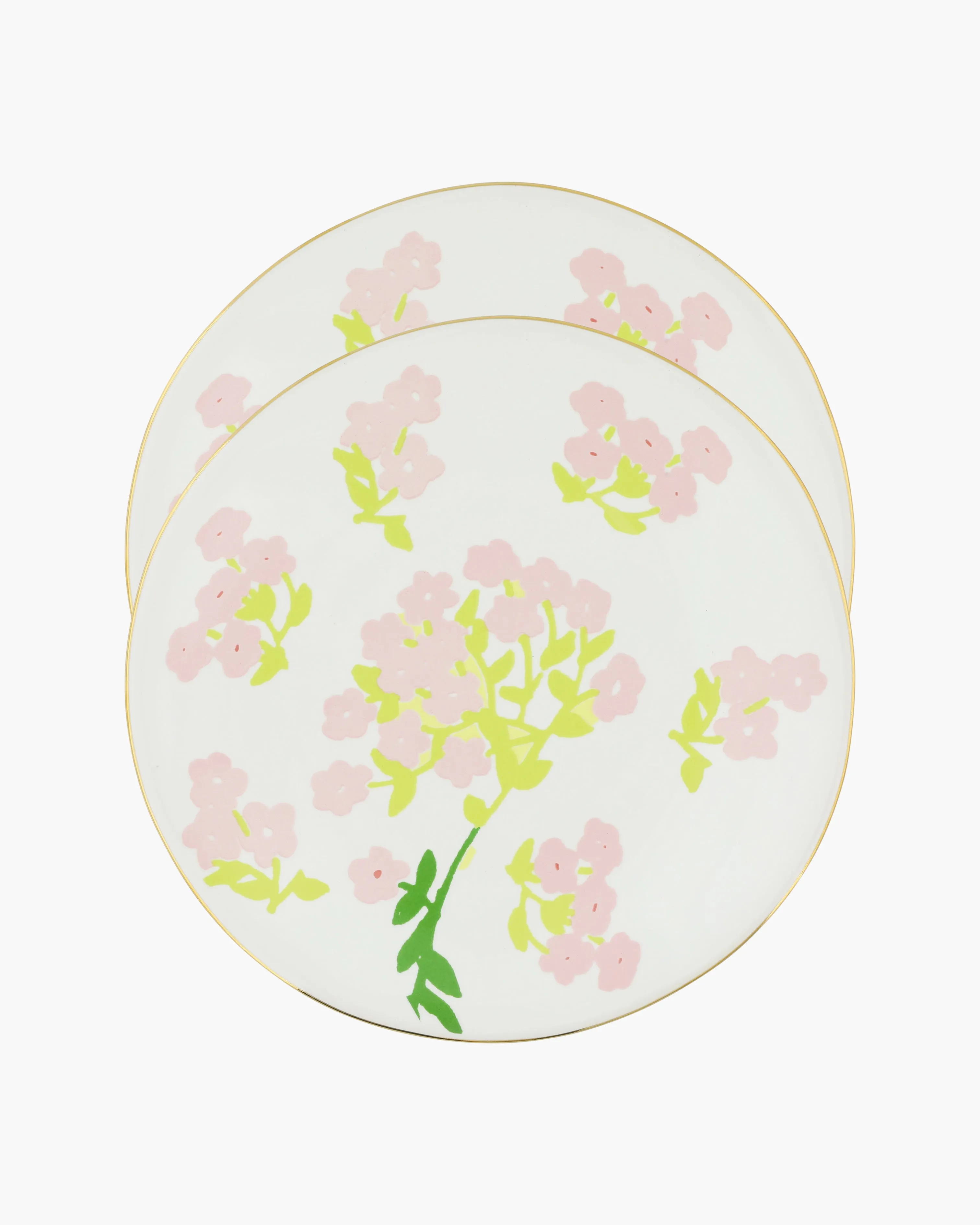 Set of 2 Dinner Plates