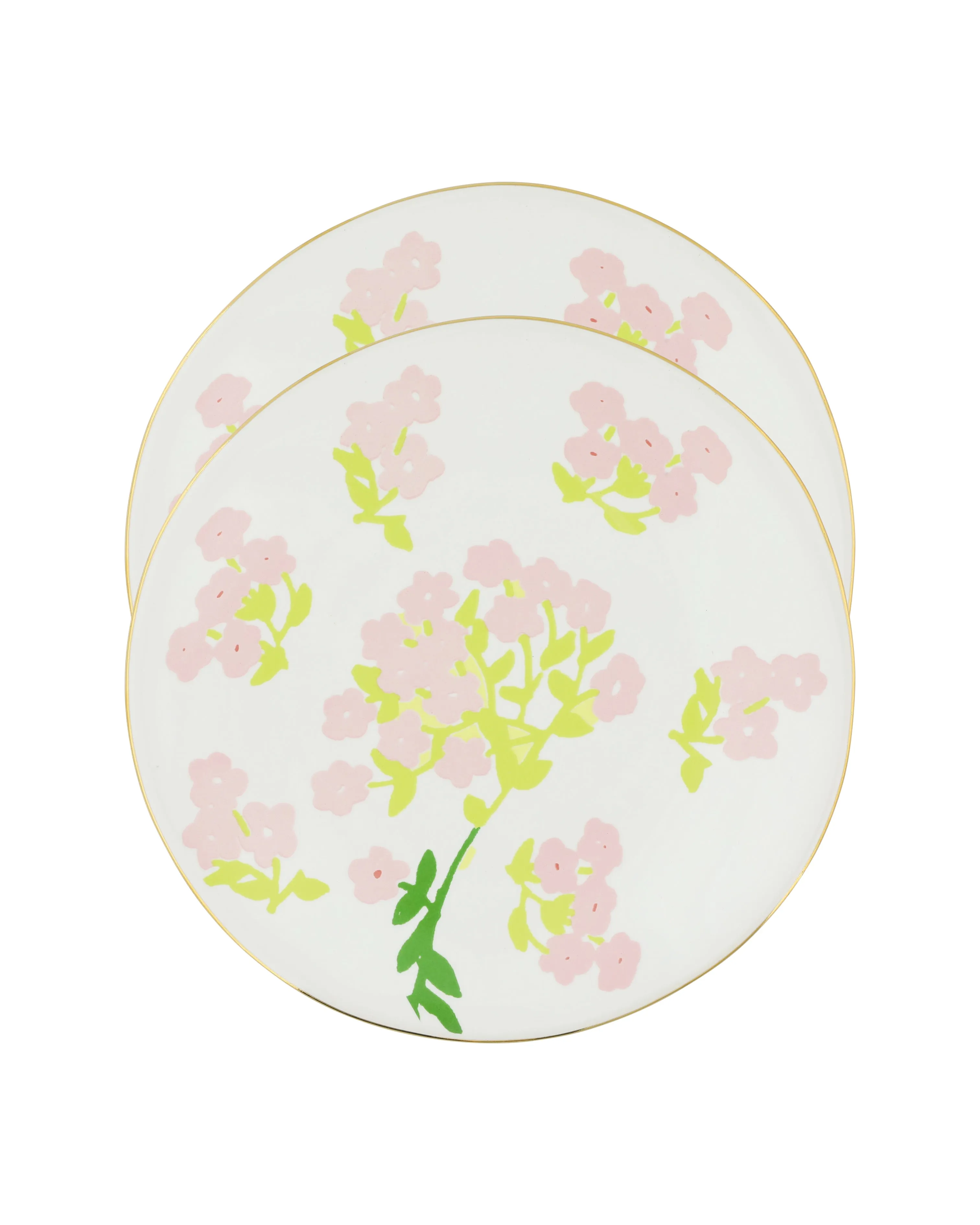 Set of 2 Dinner Plates